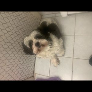 Meet your Posher, Fernando